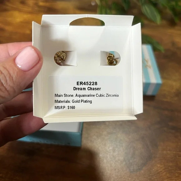 Bomb Party March 2026 “Dream Chaser” Gold Hoops - Picture 3 of 3